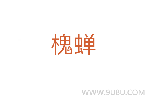 槐蝉
