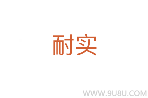 耐实