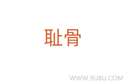 耻骨